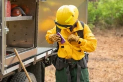 Brush Shirts Women's Brush Shirt Tecasafe Plus (Yellow), True North